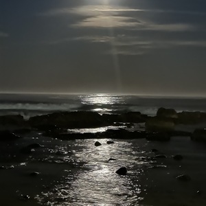 Patricia Barnard
